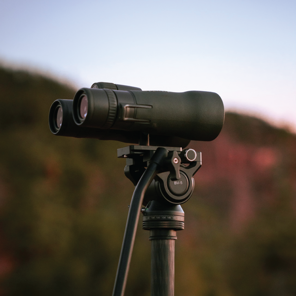Muley Bino Adapter